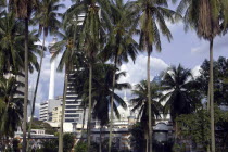 View through palm trees toward the city skyline and a telecom tower
