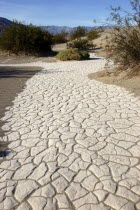 Cracked rock pathway through the sandy desert