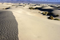 View along the ridge of a sand dune in the desert landscape