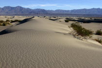 View over sand dunes in the desert landscape with a rocky horizon in the distance