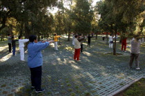 Group of people doing Tai Chi in the park