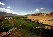 View over Indus river valley from Tikse Gompa