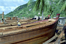 Building a new fishing fleet with half built wooden ships in the foreground