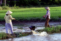 Two ladies draining a paddy field to replenish another in preperation for planting near the outskirts of town