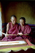 Monks reading scriptures