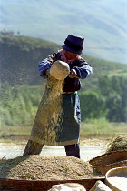 Woman pouring grain that she has ground in a ceramic dish