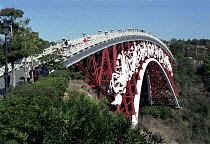 Peace Bridge. View along the red iron footbridge decorated with white carved figures