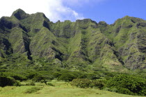 Kahuku. Vast green rocky hills with trees at the base