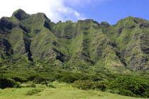 Kahuku. Vast green rocky hills with trees at the base