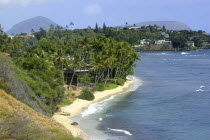 Black Point. View over sandy beach with a mass of palms and small wooden hut