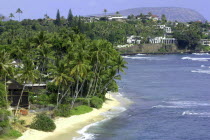Black Point. View over sandy beach with a mass of palms and small wooden hut