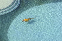 Aerial view looking down on clear blue swimming pool with single female bather in a yellow swimsuit.