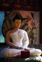 Wat Chayamangkalaram.  Interior with seated Buddha figure in meditative pose on coiled naga with painted  multi headed hood.