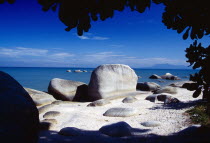 Beach and large  smooth rocks part framed by silhouetted tree branches.