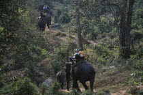 Tourists trekking on elephants through the jungle south of Chiang MaiAsian Prathet Thai Raja Anachakra Thai Siam Southeast Asia Holidaymakers Siamese Tourism