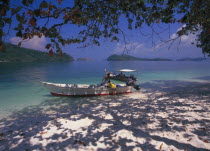 Pulau Singa Besar wildlife reserve island with men unloading long boats under the shade of the trees