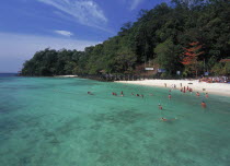 Pulau Paya marine national park tree lined beach with tourists snorkling above the inshore coral