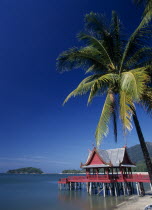 Pantai Kok beach at The Summer Palace with a coconut palm tree hanging out over the waterThe film set for Anna And The King Asian Beaches Malaysian Resort Sand Sandy Seaside Shore Southeast Asia Tour...