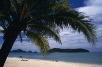Pantai Cenang beach looking towards Pulau Tepor island from under a coconut palm treeAsian Beaches Malaysian Resort Sand Sandy Seaside Shore Southeast Asia Tourism Holidaymakers Scenic Southern Sunba...