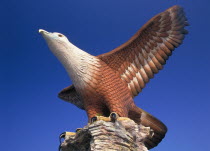 The giant statue at Datang Lang Eagle Square in Kuah the symbol of the island s flight to prosperity