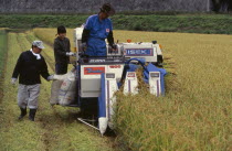 Farm workers harvesting rice field on motorised harvester