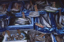 Tsukiji Fish Market with display of fresh seafood for sale