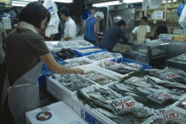 Tsukiji Fish Market with displays of various fish on ice
