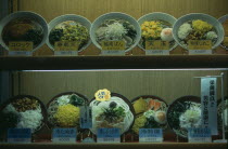 Shinjuku. Display of plastic food in restaurant window
