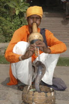 Snake charmer with tulband playing his pipe