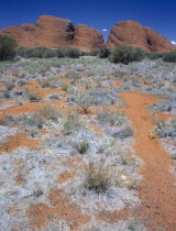 The Olgas seen from the Sunset Viewing Area