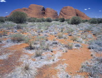 The Olgas seen from the Sunset Viewing Area