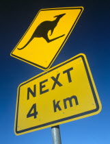 Roadside Kangaroo warning sign