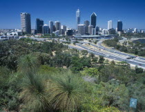 Kings Park greenery with the city skyline beyond