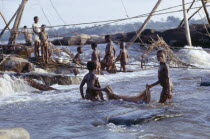 Children lifting fishing nets out of the water.