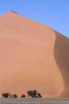 Orange sand dunes with small trees at the base and blue sky above