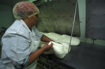Female worker preparing goats milk for processing in to cheese at Fairview goats cheese and wine estate