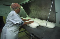 Female worker preparing goats milk for processing in to cheese at Fairview goats cheese and wine estate