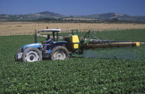Agricultural farm labourer spraying strawberry fields at Mooiberg fruit and vegetable farm