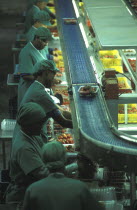 Female production line workers grading and packing strawberries at Mooiberg fruit and vegetable farm