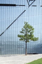 Detail of the Judisches Museum metalic exterior with a tree outside