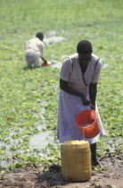 A woman collecting water from a lake source. Contaminated water sources are the leading cause of stomach illness in Africa.
