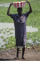 A woman collecting water from a lake source. Contaminated water sources are the leading cause of stomach illness in Africa.