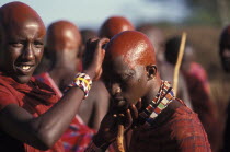 Maasai Moran cover their recently shaved heads with red ochre which signifies their coming into manhood during an initiation ceremony of their age sets