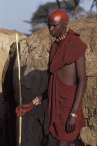 Portrait of a Maasai moran with recently shaved heads covered with ochre which signifies their coming into manhood during an initiation ceremony of their age sets