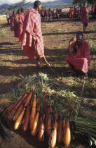 Gourds filled with honey beer are lined up at the beginning of the initiation ceremony that will bring the young Maasai Moran or young warriors into manhood.