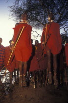 Maasai moran measure each others capacity to jump springing from a standing start. They often sing in a group as they do this each taking turns to jump.