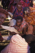 A sacrificial cow is suffocated to death at the beginning of the initiation ceremony that will bring the young Maasai Moran or young warriors into manhood. The neck is slit and blood is drunk fresh af...