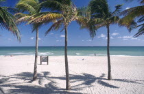 View through palms on golden sandy beach with small beach notice