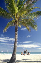 Palm on the golden sandy beach with bathers on the sand and sail boats out at sea