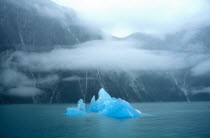 Iceberg seen from Sawyer Glacier